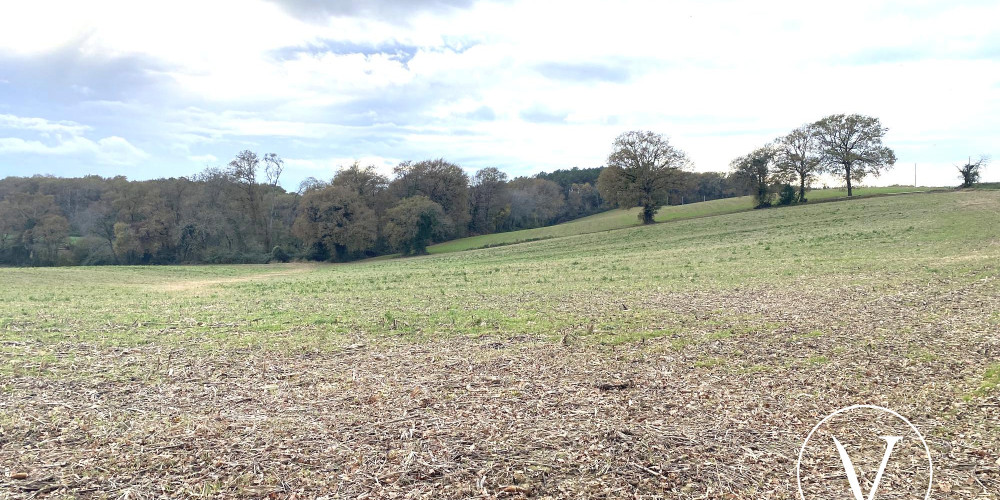 terrain à CASTELNAU TURSAN (40320)